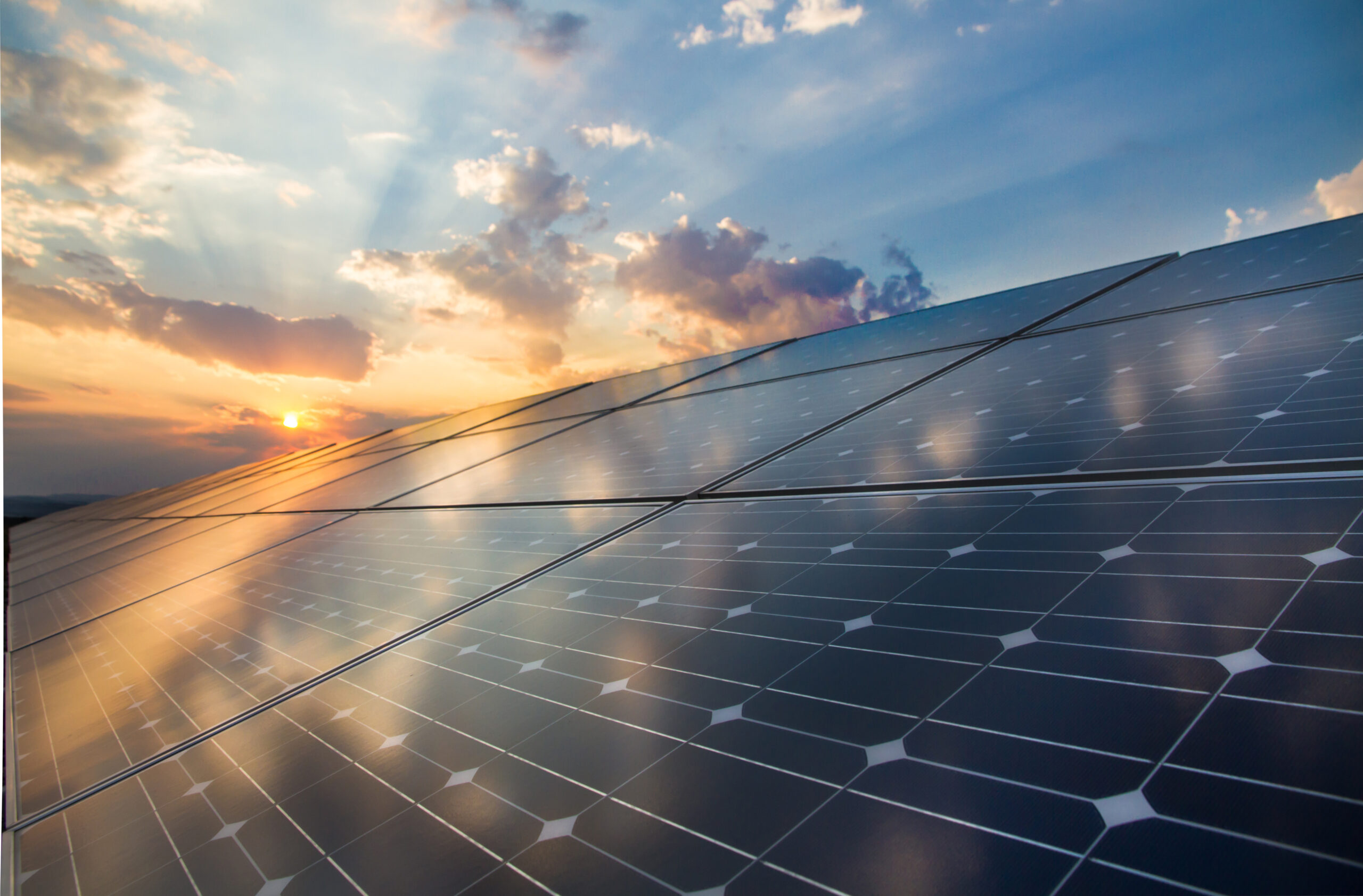 Want to Discuss Your Next Project? Talk With Our Team Today.