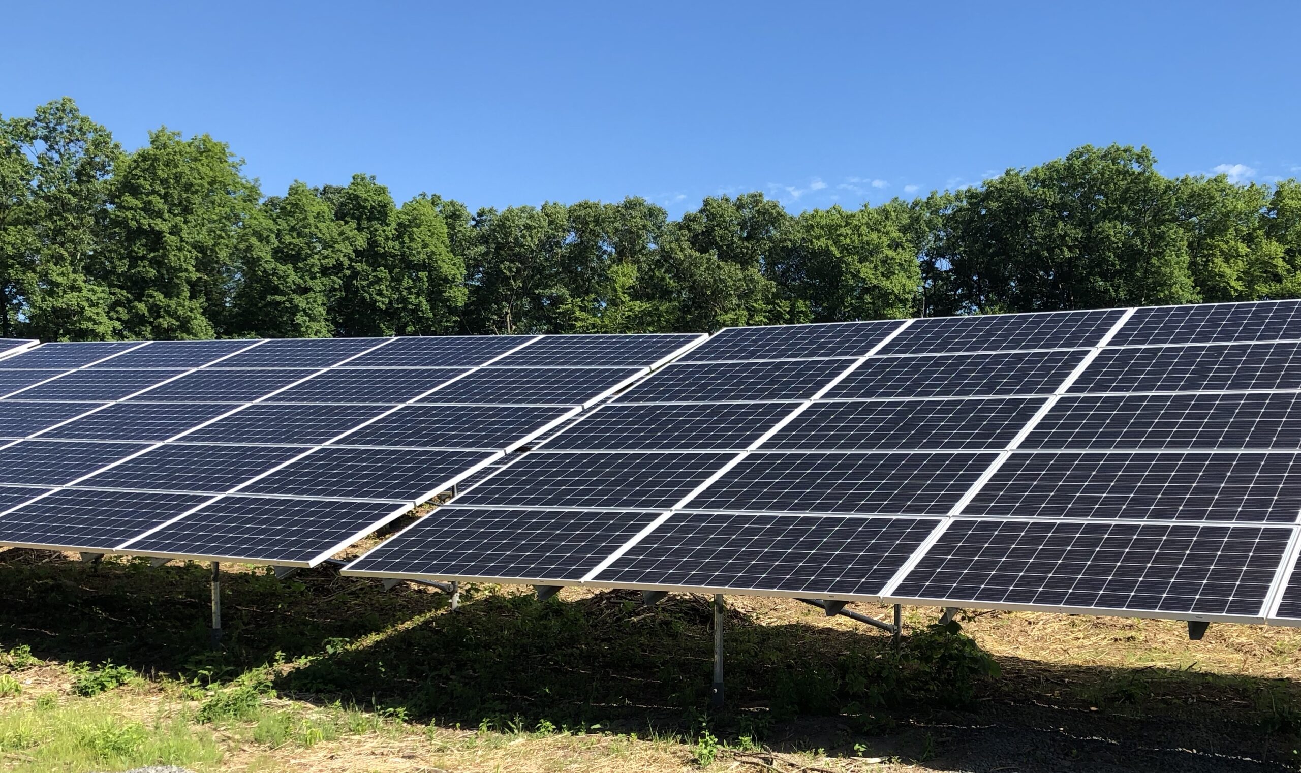 Savings for Subscribers